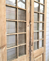 THE DAMON GLASS DOOR PAIR