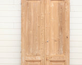 19TH CENTURY SOLID DOOR PAIR