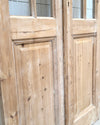 THE LOUISVILLE GLASS DOOR PAIR