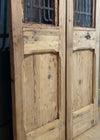 THE DANIEL IRON DOOR PAIR