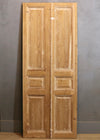 THE SALONE SOLID DOOR PAIR