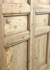 THE KYLE SOLID DOOR PAIR