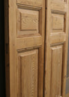 THE SALONE SOLID DOOR PAIR