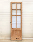 19TH CENTURY SINGLE DOOR WITH GLASS