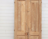 19TH CENTURY SOLID DOOR PAIR