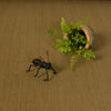 Cast Iron Ant