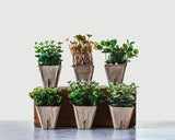 Artificial Plant in Paper Pot