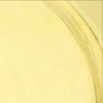 Polished Brass