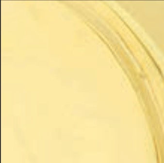 Unlacquered Brass